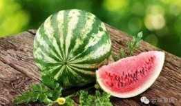 吃捧瓜去皮吗视频,揭秘吃捧瓜去皮的秘密