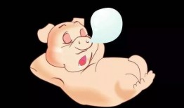 吃瓜主播小胖猪视频,揭秘娱乐圈幕后故事