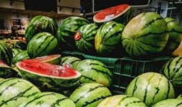 儿童吃大瓜视频,萌趣瞬间捕捉