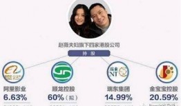 理性吃瓜娱乐视频,娱乐视频中的智慧解析