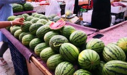 一天吃几个清瓜最好呢视频,每日清瓜最佳摄入量揭秘