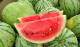 西安今日吃瓜事件视频,一场网络热议背后的真相揭秘