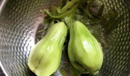 挖佛手瓜根吃会中毒吗视频,警惕中毒隐患