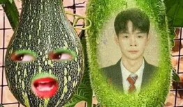 大嘴吃瓜特效视频大全