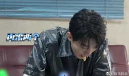 吃瓜王俊凯直播视频,趣味互动笑翻网友