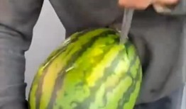 吃瓜卖瓜种瓜视频,吃瓜、卖瓜、种瓜，一网打尽短视频魅力