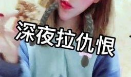 瓜哥吃货视频大全集,一场味蕾与视觉的盛宴之旅