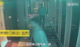 酒店吵架吃瓜视频,一场吃瓜群众的围观盛宴