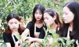 四姐妹和亚索吃瓜视频,揭秘网络红人吃瓜背后的故事