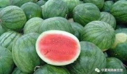 无籽瓜的瓜瓤可以吃吗视频,口感与营养双重享受