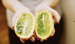 农村小孩吃刺角瓜视频,趣味盎然体验农家乐趣