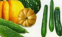 观止的吃瓜视频