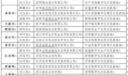 农村吃瓜基地视频,瓜果飘香，丰收景象