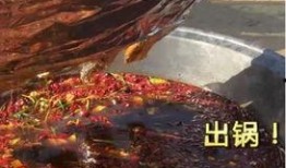 清华才女吃瓜视频,揭秘校园生活趣味瞬间