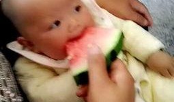 宝宝拍戏吃瓜视频