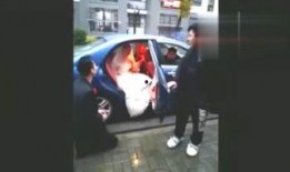 婚礼吃瓜换新娘视频大全,视频大全揭秘惊人真相