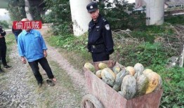 济南骑友吃瓜事件视频,一场网络争议引发的骑行圈风波