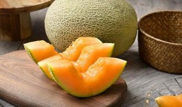 吃哈密瓜操作方法视频大全,视频教程大集合