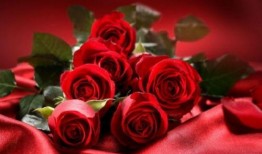 吃瓜女孩玫瑰花视频下载,揭秘幕后花絮