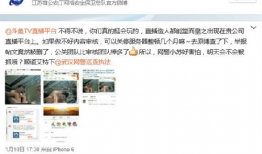 邵阳团委吃瓜事件视频播放,视频曝光引发舆论热议