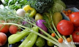 南沙瓜怎么吃最有营养视频,解锁最佳营养吸收秘诀