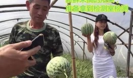 吃瓜群众最新试验视频