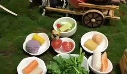 迷你厨房吃瓜视频大全集,趣味视频大全集回顾