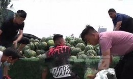 桑植县吃瓜事件真相视频,真相视频曝光背后的真相