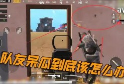 吃鸡呆瓜穿搭视频大全,呆瓜穿搭视频大全，解锁时尚与趣味并存的新潮流