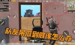 吃鸡呆瓜穿搭视频大全,呆瓜穿搭视频大全，解锁时尚与趣味并存的新潮流