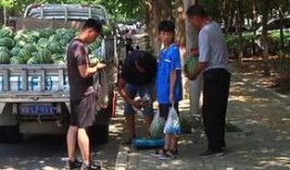 诸暨吃瓜群众事件视频