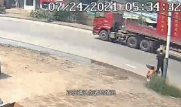 车祸吃瓜群众动画视频在线观看,吃瓜群众动画大揭秘！