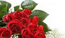 吃瓜女孩玫瑰花视频下载,揭秘幕后花絮