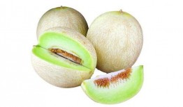 吃银蒂蜜瓜的视频大全图片,视频大全图片回顾