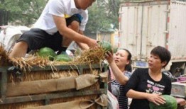 界首市吃瓜事件视频,一场引发热议的网络风波