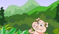 寓言故事呱呱吃瓜视频播放,寓言故事中的智慧与启示