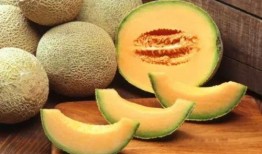 吃西瓜哈密瓜完整视频,哈密瓜西瓜大比拼，口感与营养全解析