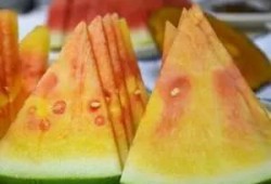 无籽瓜的瓜瓤可以吃吗视频,口感与营养双重享受