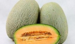 上海人吃哈密瓜视频播放,一场甜蜜的味蕾之旅