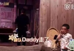 小杨爸爸吃瓜事件视频,一场网络热议的瓜田奇遇