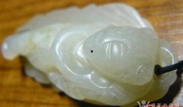 白玉瓜老了咋吃啊视频,视频教你美味翻倍