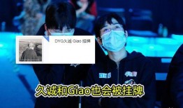 吃瓜视频教练,揭秘健身界的“网红”教练幕后故事