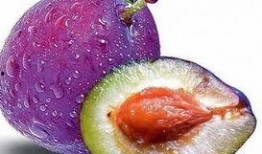 乳瓜早上吃减肥吗好吗视频,揭秘早晨食用乳瓜的神奇效果