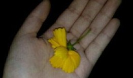 有趣吃瓜视频素材,揭秘那些让人捧腹大笑的吃瓜视频瞬间