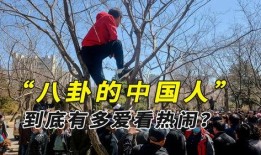 缅甸内战吃瓜现场视频,战火纷飞下的吃瓜现场