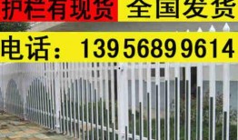 栅栏瓜怎么吃最好吃呢视频