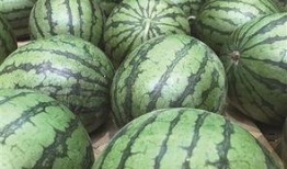 怎么吃头茬瓜才好吃呢视频,视频揭秘最佳食用技巧