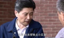 吃瓜大叔真实版视频大全,揭秘民间趣味生活瞬间