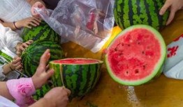 博爱最新吃瓜视频大全,最新视频大全精彩回顾