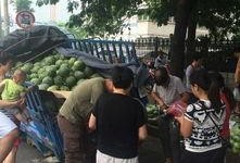 界首市吃瓜事件视频,一场引发热议的网络风波